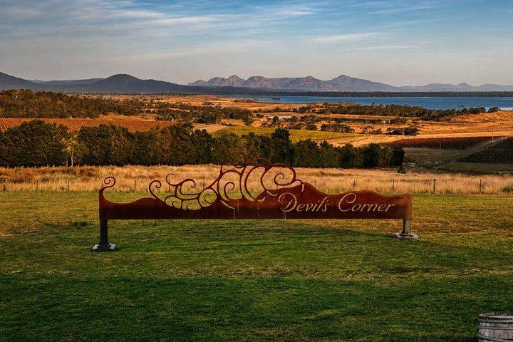 Vinglass Bay och Freycinet National Park Dagstur i Hobart