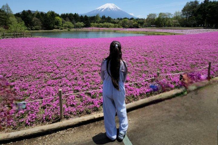 英語ドライバー付き富士山プライベートツアー