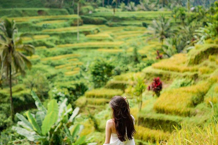 Ubud Tour e fotografo personale