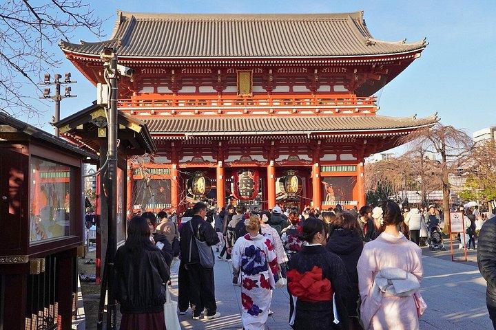 東京 : カスタマイズ可能なプライベートツアー - 1日で楽しめる観光スポット