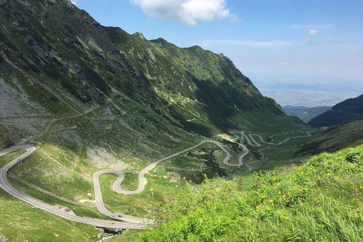 Från Brasov Transfagarasan Road Wild Bear Experience