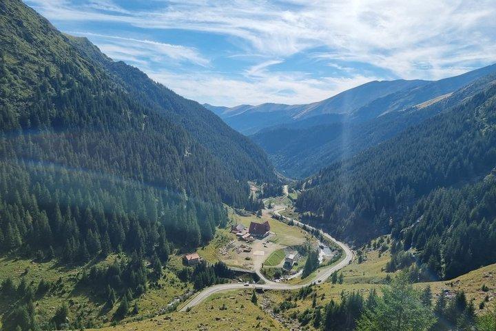 Från Brasov Transfagarasan Road Wild Bear Experience