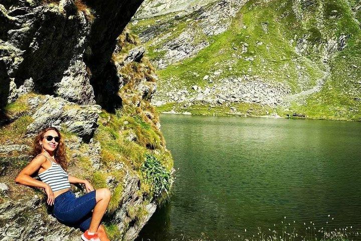Transfagarasan Road Wild Bear Experience de Brasov