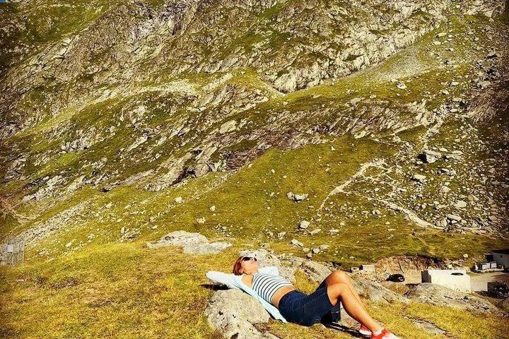 Transfagarasan Road Wild Bear Experience de Brasov