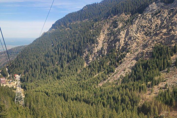 Transfagarasan Road Wild Bear Experience de Brasov