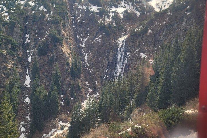 Transfagarasan Road Wild Bear Experience de Brasov