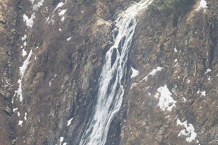 Transfagarasan Road Wild Bear Experience de Brasov