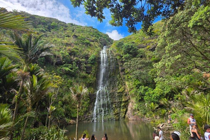 Visite privée d'Auckland avec le mont Eden ,chutes de KareKare ,plage de Piha