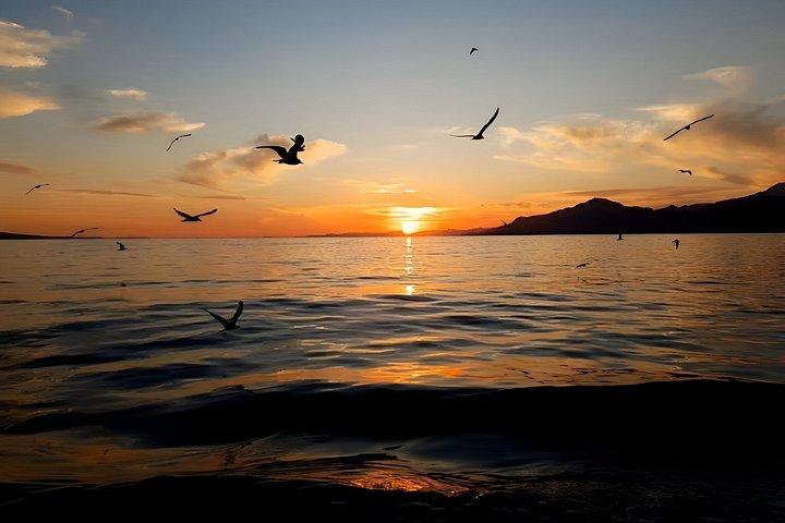 Omiš : プチシュチャブラチ島サンセットボート旅行（夕食付き）