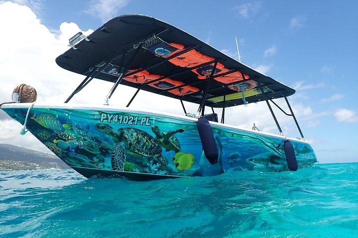 Exit Whales between Tahiti and Moorea