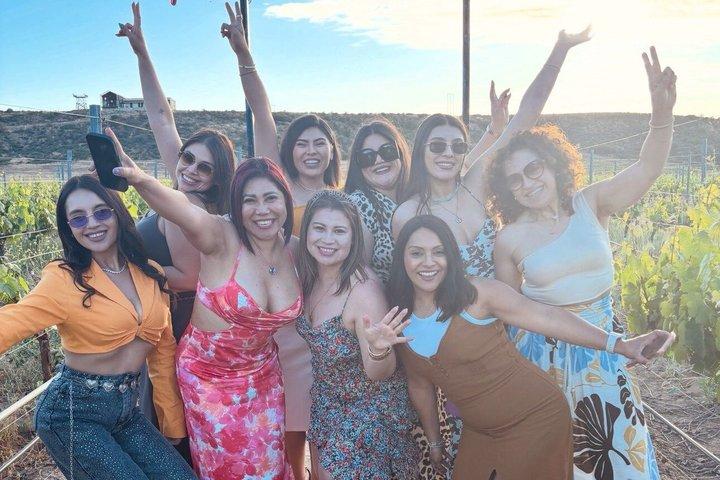 Valle De Guadalupeのプライベートツアー