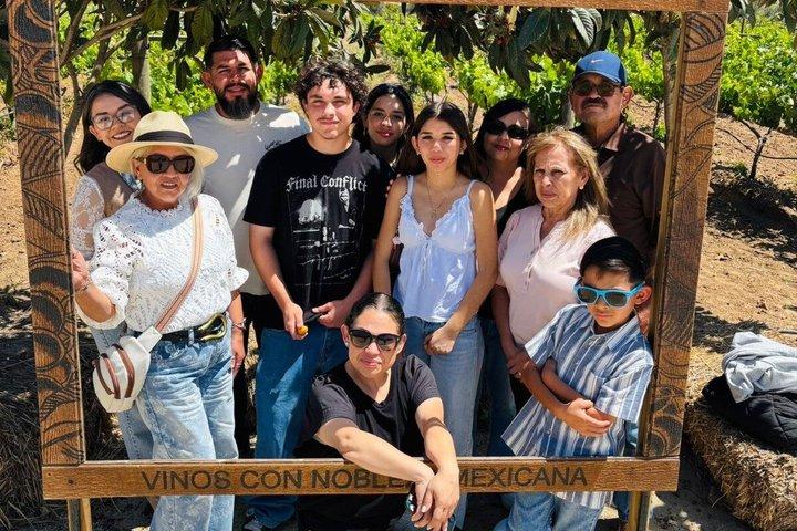 Valle De Guadalupeのプライベートツアー