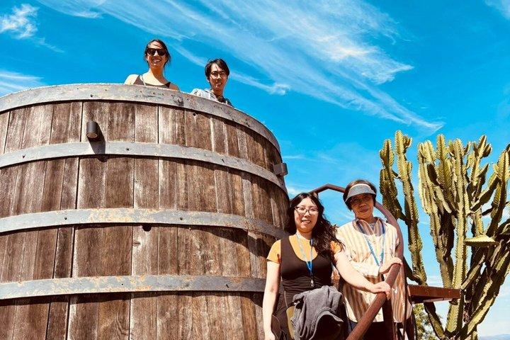 Valle De Guadalupeのプライベートツアー