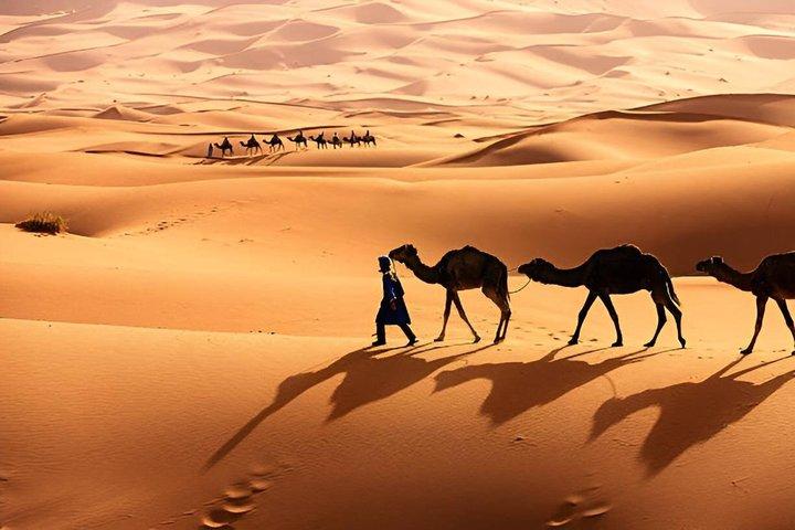 3 - Day Private Sahara Desert Tour: Fez a Marrakech via Merzouga