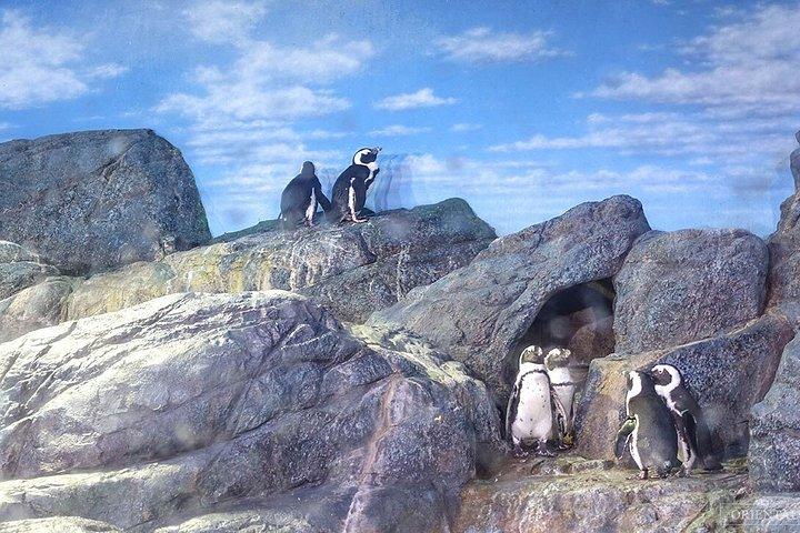 シーライフバンコクと外国人のためのマダムタッソーバンコク
