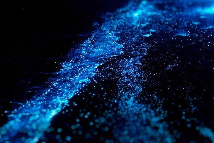 Holbox kayak Bioluminescense tour
