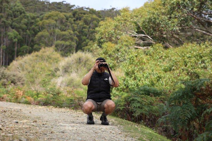 ブルーニー島 - ホバートからの野生の脱出