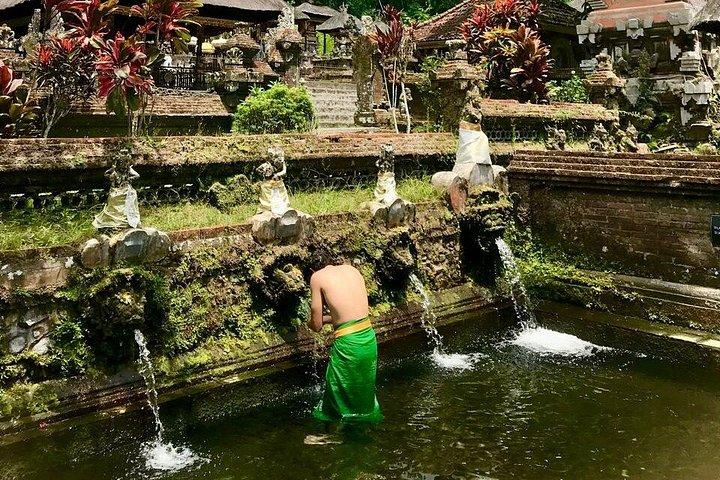 Privato Migliore di Ubud: Monkey Forest, Terrazze di Riso e Cascata