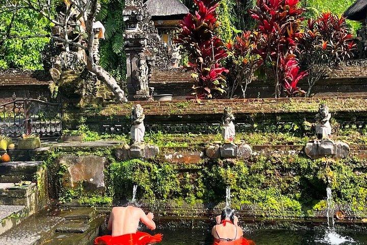 Privato Migliore di Ubud: Monkey Forest, Terrazze di Riso e Cascata