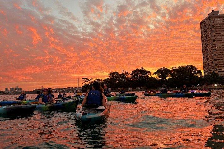Sunset Harbour Bridge Kayak Escape