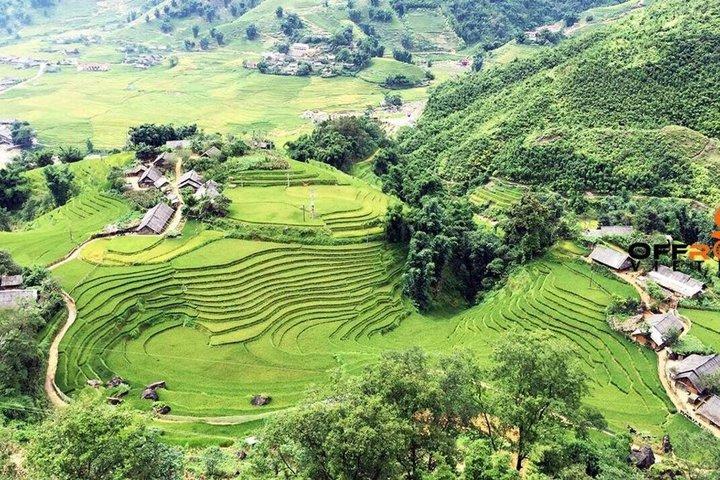 Sapa Half Day Trekking Y Linh Ho with Lao Chai and Ta Van