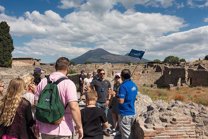 新しい発掘地のあるローマからポンペイ日帰り旅行