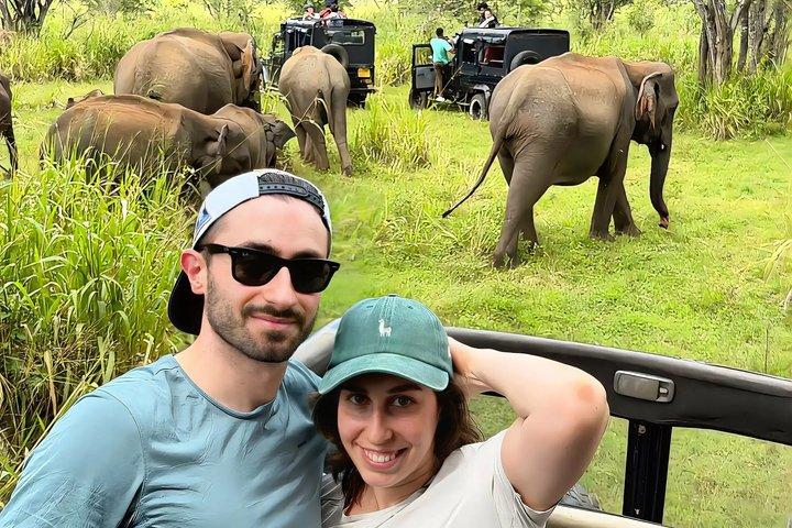 Udawalawe Nationaal Park Privé jeep safari olifanten