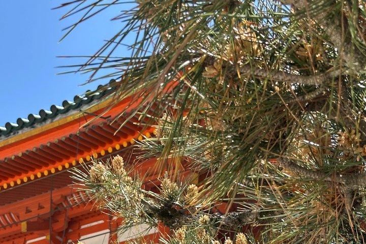 Découvrir Kyoto à vélo Excursion d'une journée