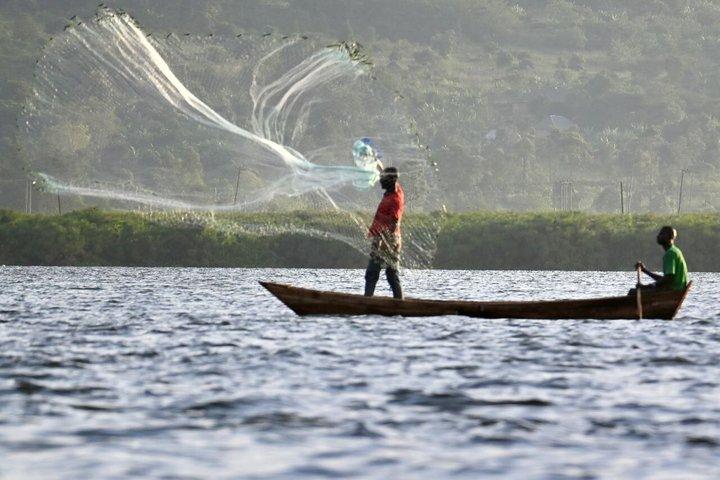 8 Dias em Uganda: Chimpanzés, Big Five e Cataratas