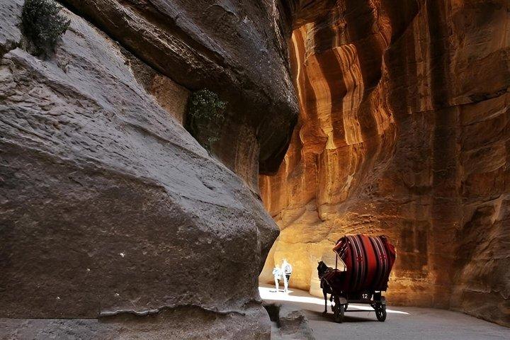 Excursão privada Petra de um dia, incluindo Amã Sightseeing de Amã