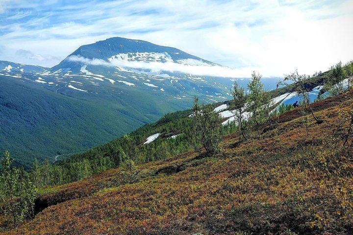 Tromsø Geführtes Wanderabenteuer mit Kunstpicknick