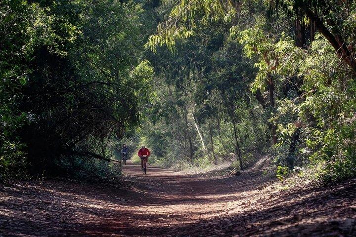 Visita guiada al bosque de Karura y cascada