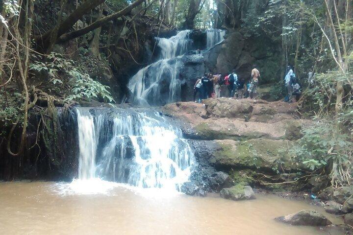 Visita guiada al bosque de Karura y cascada
