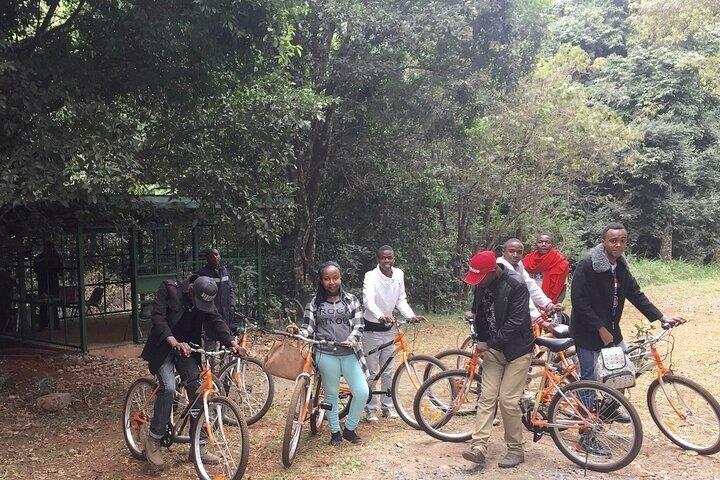 Visita guiada al bosque de Karura y cascada