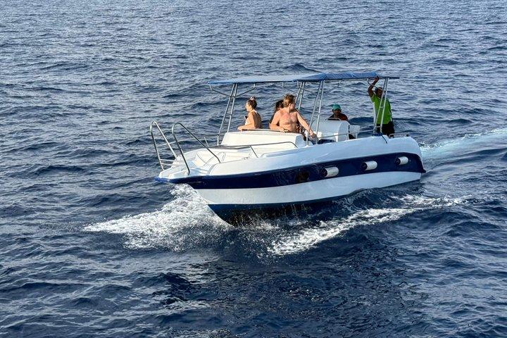 Speed Boat Whale Watching Mirissa Private Tour Morgenmad inkluderet