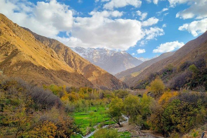 Ourika Valley Berber Villages & Nature Day Trip