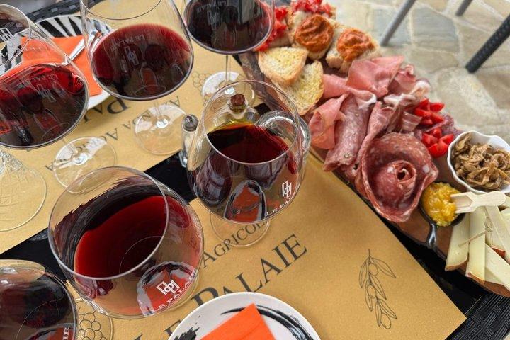 Tasting in the Farm of Wines Oil and Local Products