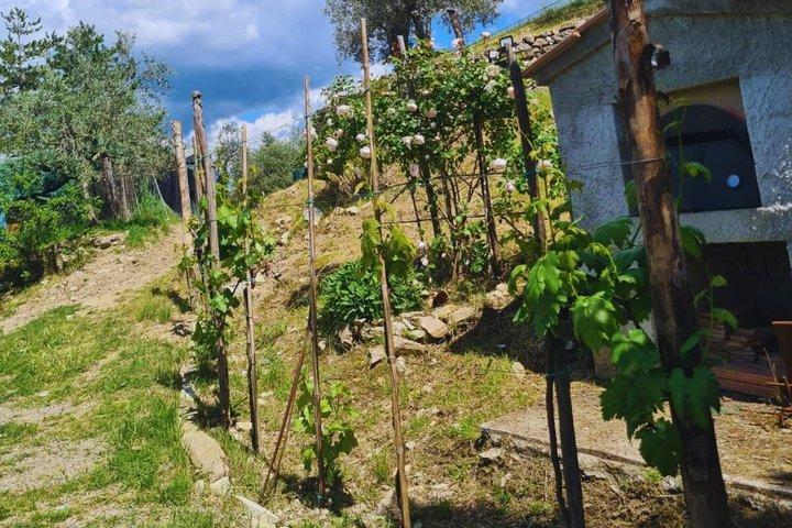Tasting in the Farm of Wines Oil and Local Products