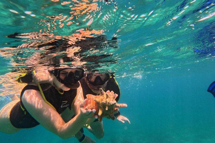 Vieques : Excursion en petit groupe pour observer les tortues marines en plongée avec tuba, photos et collations