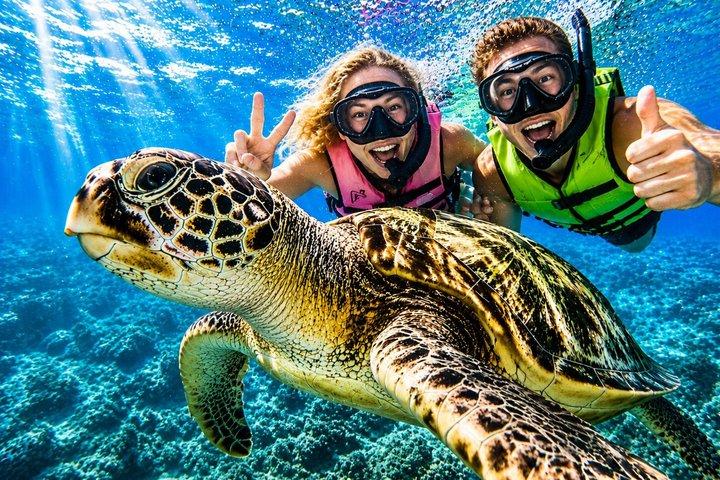 Tour de buceo con tortuga Waikiki con recogida gratuita
