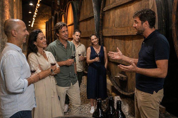 ポルト:ワイン6種類の試飲とチーズ盛り合わせ付きウォーキングツアー