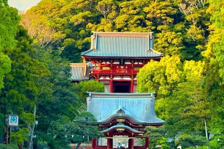 From Tokyo/Yokohama: Private Day Trip To Kamakura & Enoshima