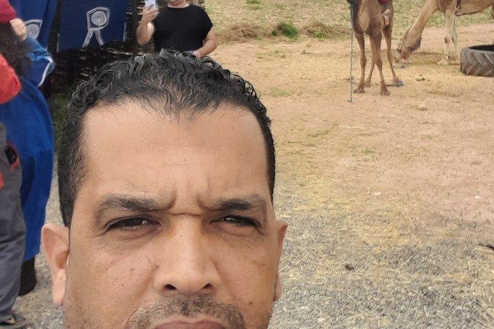 Halve dag Casablanca City Tour met moskeebezoek en marktstop