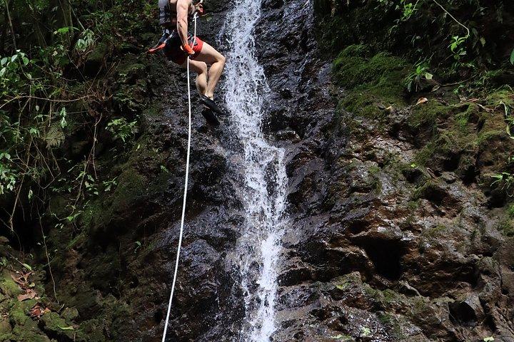 Rainforest Falls and Chocolate tour