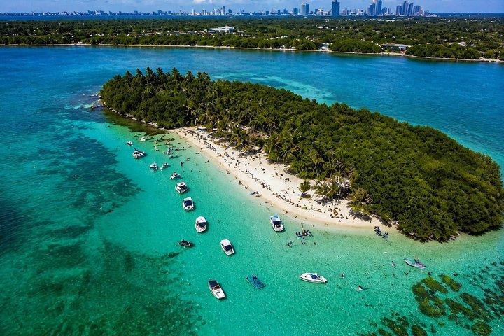FTLからラクーン島へ5時間のプライベートヨットツアー