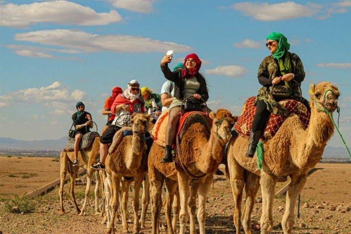 Agafay Desert Experience Quad CamelRide and Dinner from Marrakech