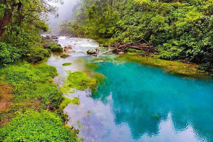 テノリオ熱帯雨林の吊り橋、滝とナマケモノとの出会い