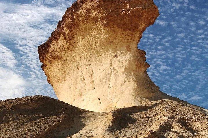 ゼクリートと西海岸のハイライト自然芸術と遺産ツアー