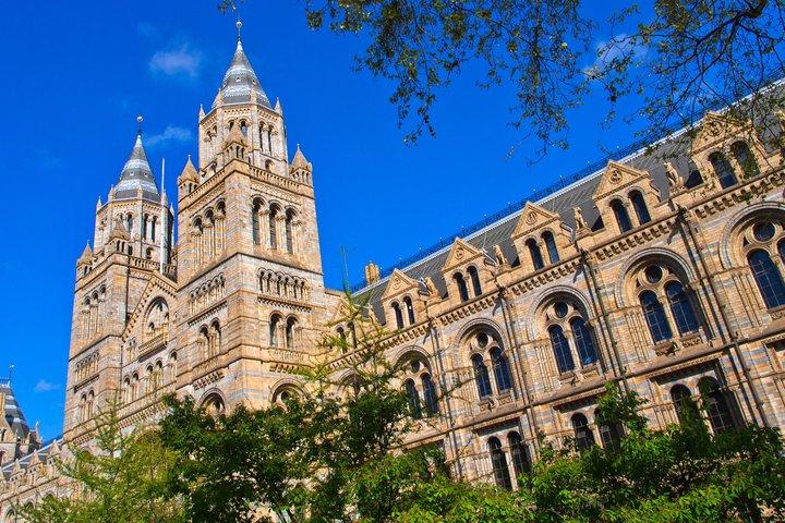 Natural History Museum Guided Tour of London with Fast Entry