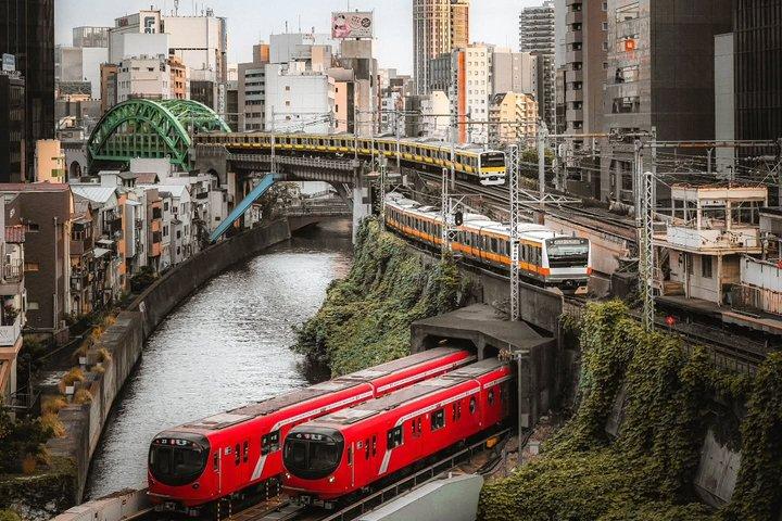 Tokyo Private Tour with Custom Itinerary And English Driver Guide